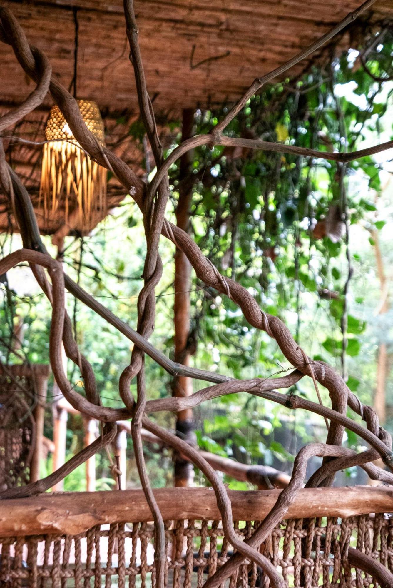 Akagera Transit Lodge Ngoại thất bức ảnh